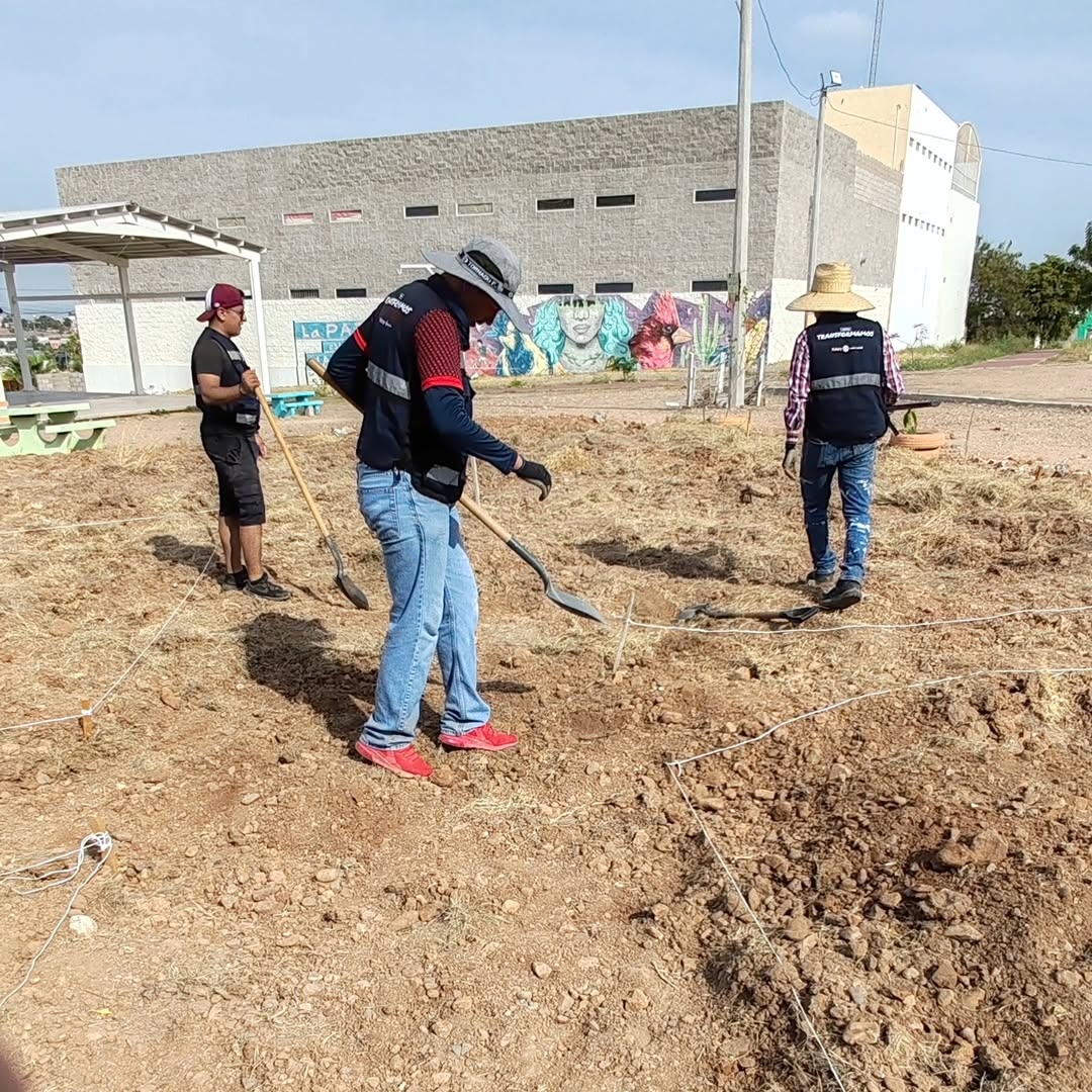 Voluntarios